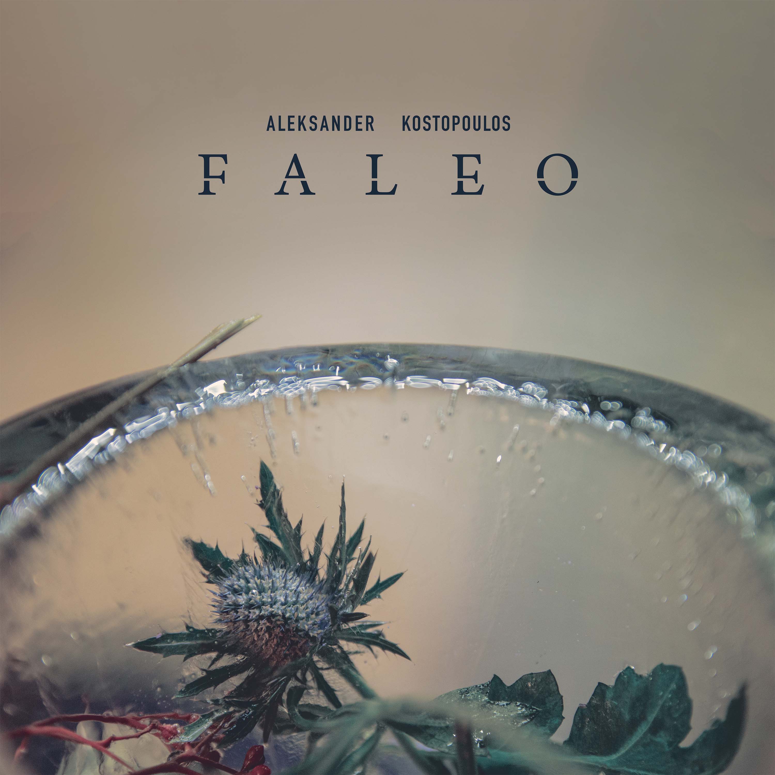 Albumcover of Faleo